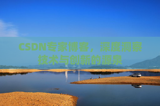 CSDN专家博客，深度洞察技术与创新的源泉